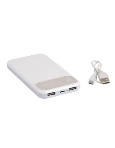 Powerbank SILICON VALLEY